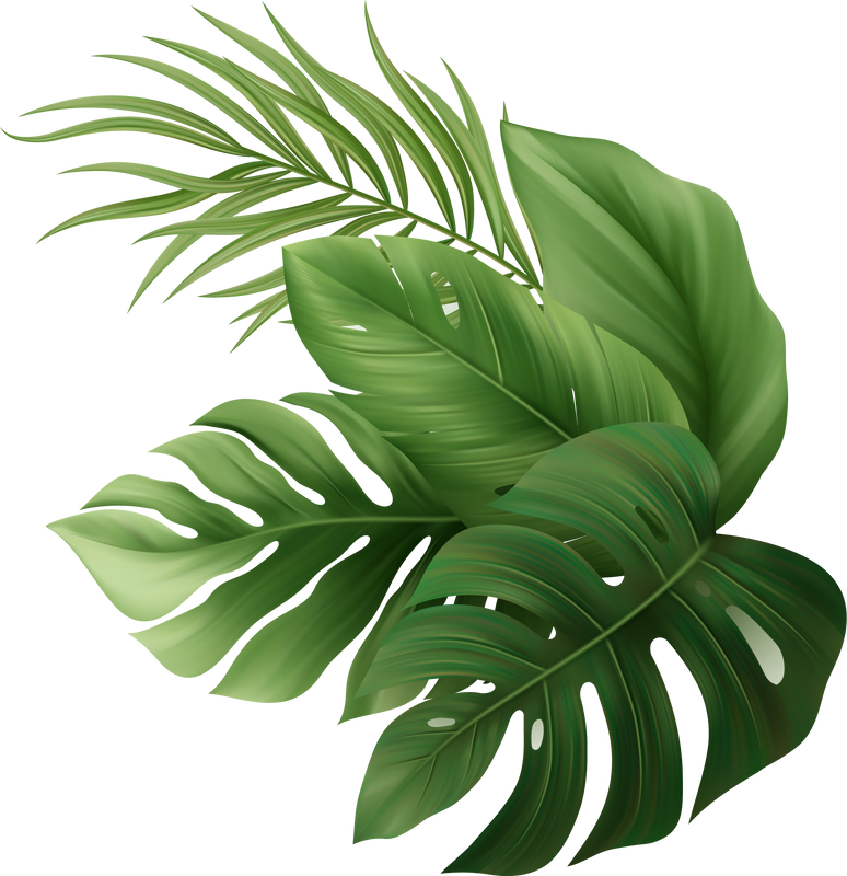 Palm Leaves